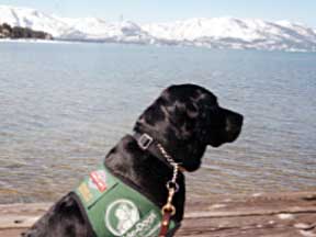 Cynthia's profile with Lake Tahoe and snow capped mountains in the background.