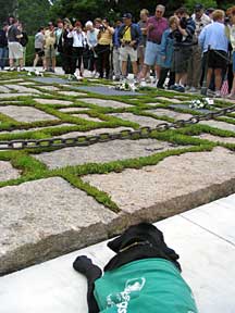 Cynthia laying down while looking at a group of people walk past a memorial