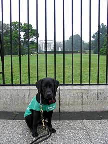 Cynthia sitting in front of the White House